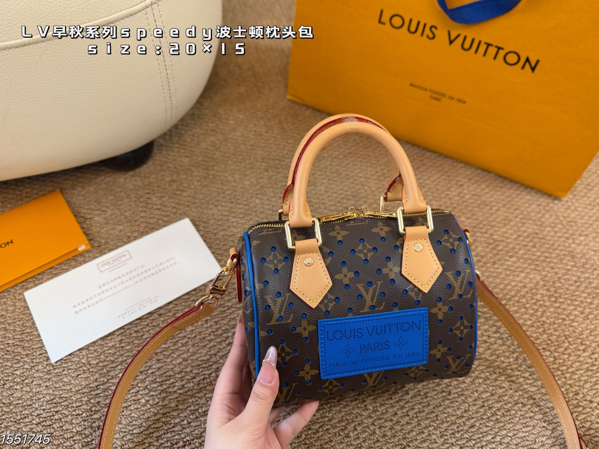 Louis Vuitton LV Speedy Pillow Bag